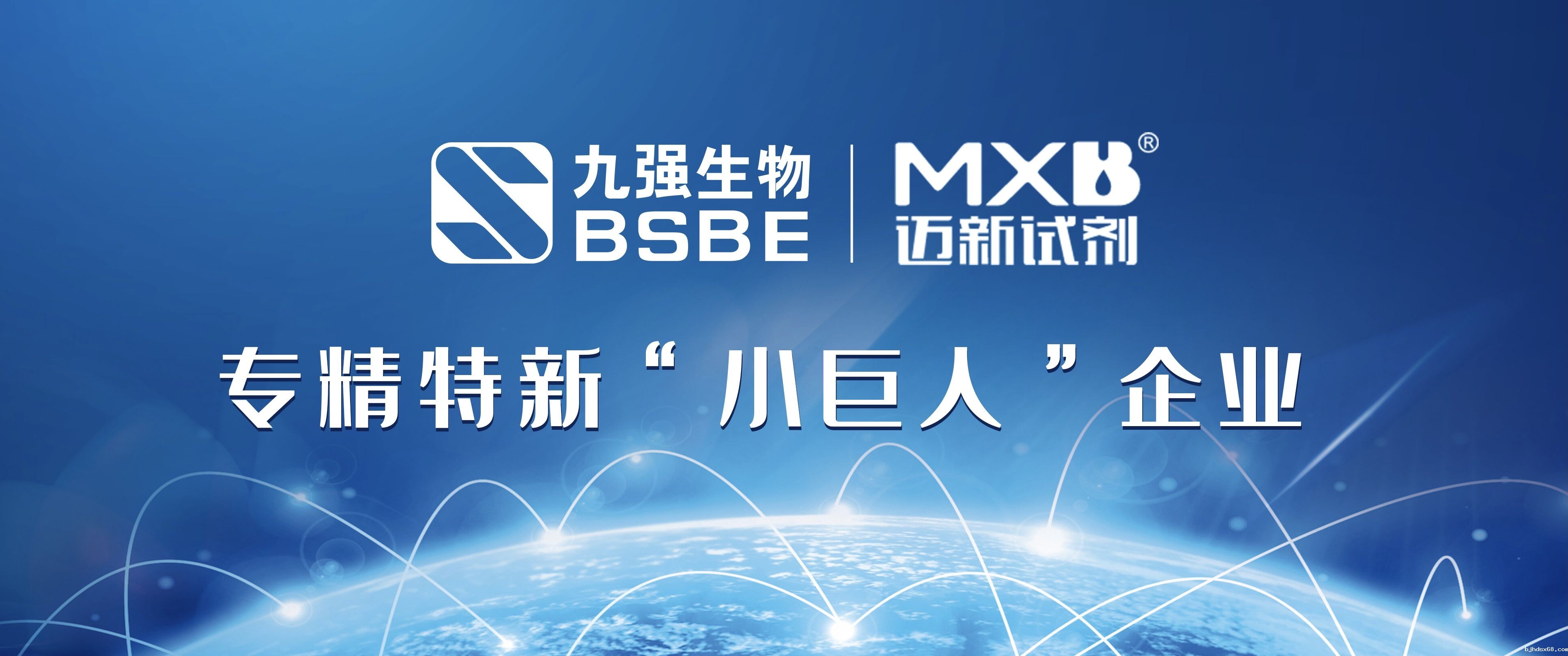 深耕IVD创新发展 | 世界杯直播及旗下控股公司迈新生物荣获专精特新“小巨人”称号